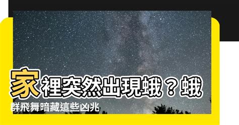 家裡突然很多飛蛾|習俗百科／家中出現大量飛蛾是凶兆？暗示「兩事」將。